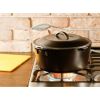 Cast Iron 5 Quart Seasoned Cast Iron Dutch Oven With Bail Handle - Black